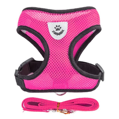 Comfort Fit Cat & Dog Harness