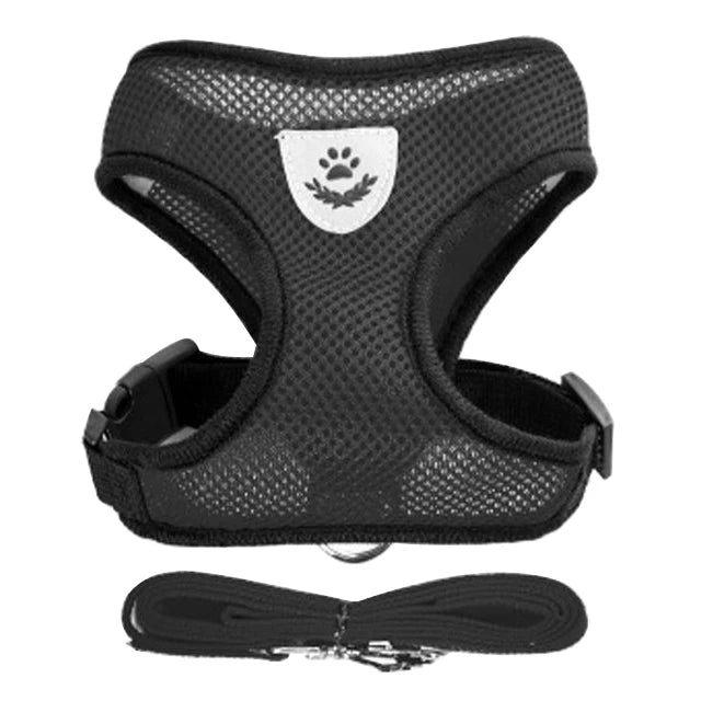 Comfort Fit Cat & Dog Harness