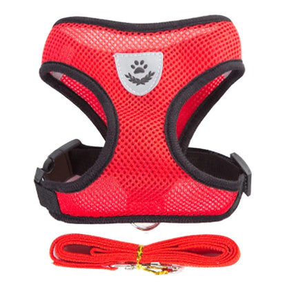 Comfort Fit Cat & Dog Harness