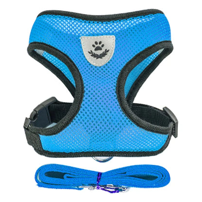 Comfort Fit Cat & Dog Harness