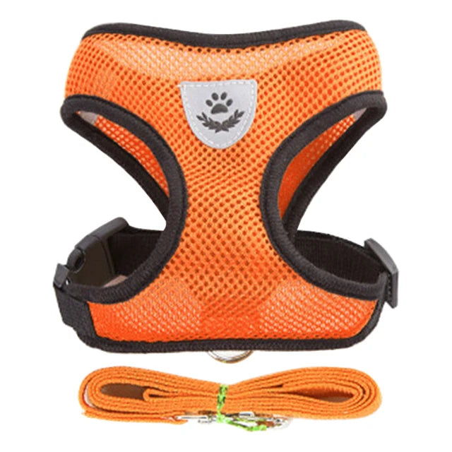 Comfort Fit Cat & Dog Harness