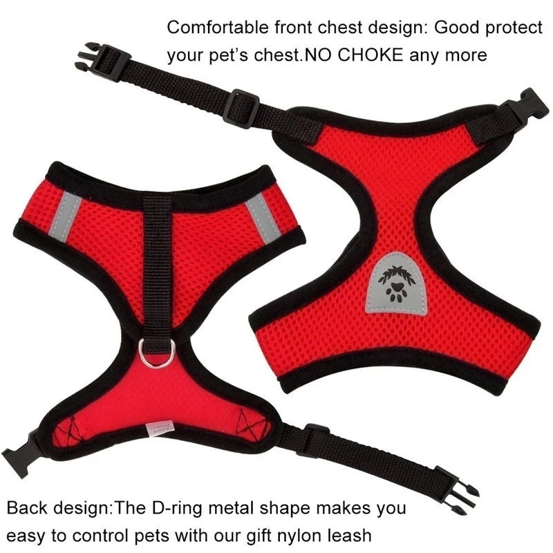 Comfort Fit Cat & Dog Harness