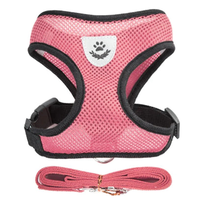 Comfort Fit Cat & Dog Harness