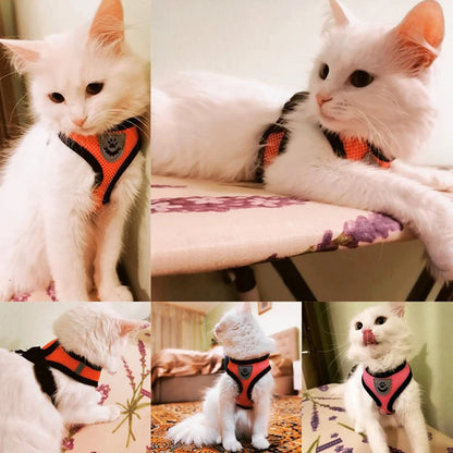 Comfort Fit Cat & Dog Harness