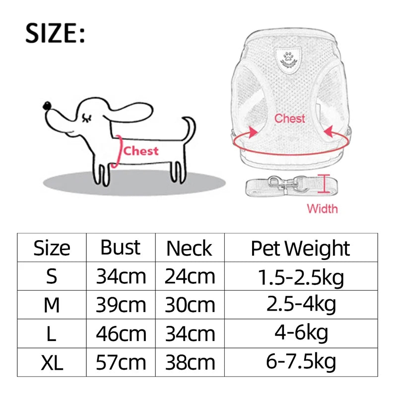 Comfort Fit Cat & Dog Harness