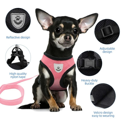 Comfort Fit Cat & Dog Harness