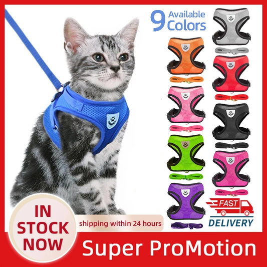 Comfort Fit Cat & Dog Harness