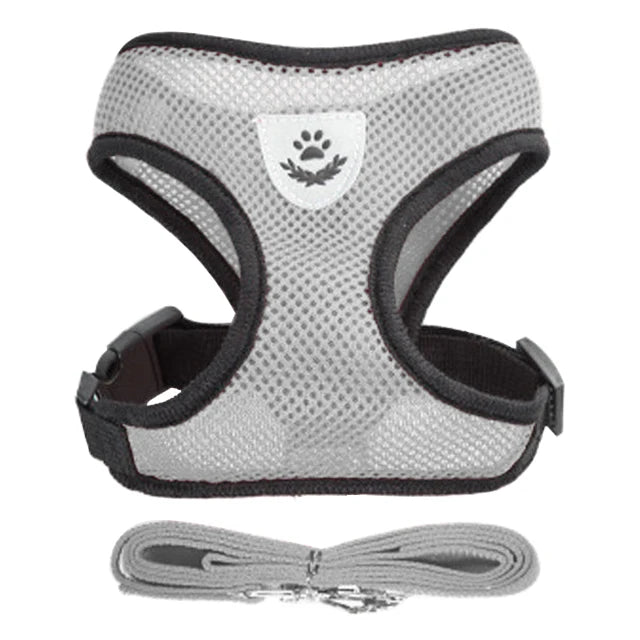 Comfort Fit Cat & Dog Harness