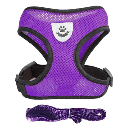 Comfort Fit Cat & Dog Harness